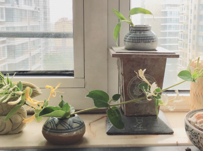 安装维修