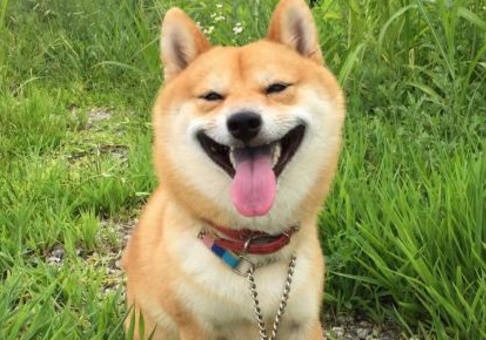 金融