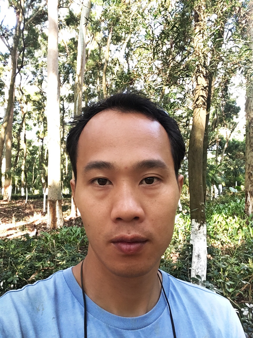 今天装个高箱床