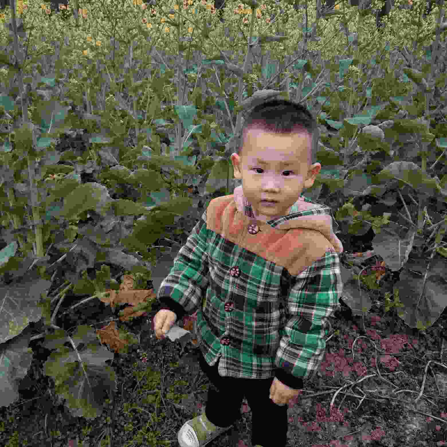 维修，燃气热水器，燃气灶，油烟机，洗衣机，空调