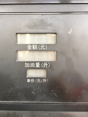 教育