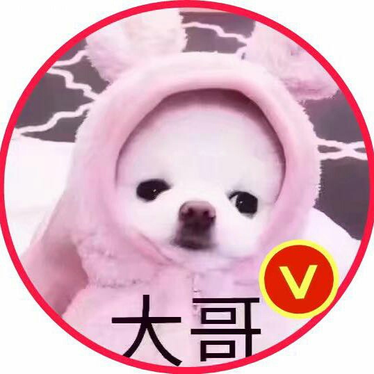 专业维修