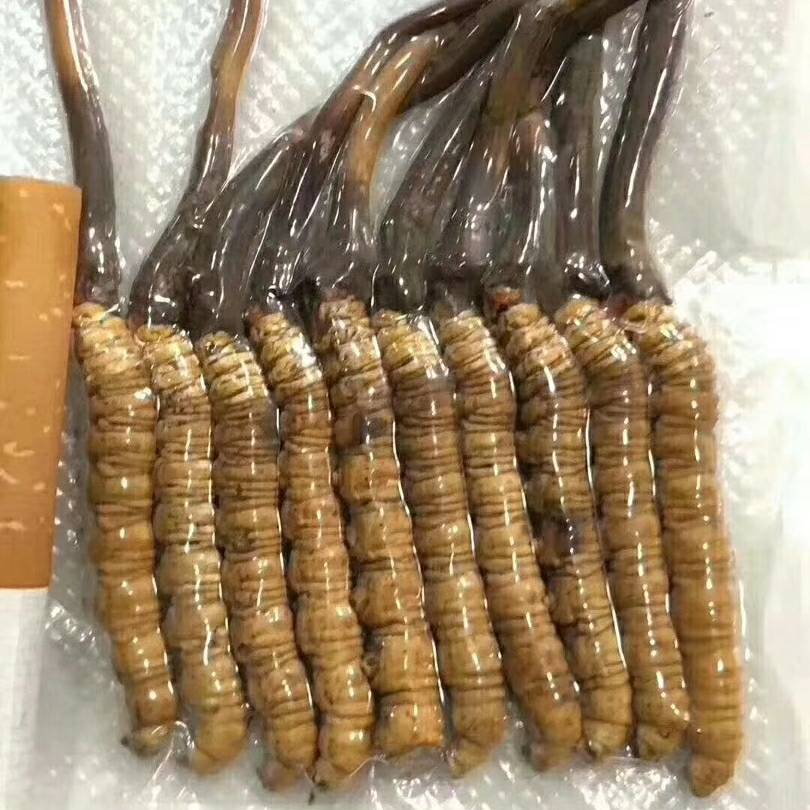 开车