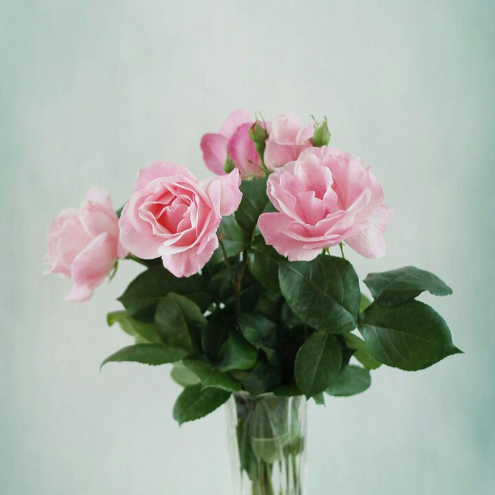 空调移机维修收售新旧空调！打孔开洞
15510615216