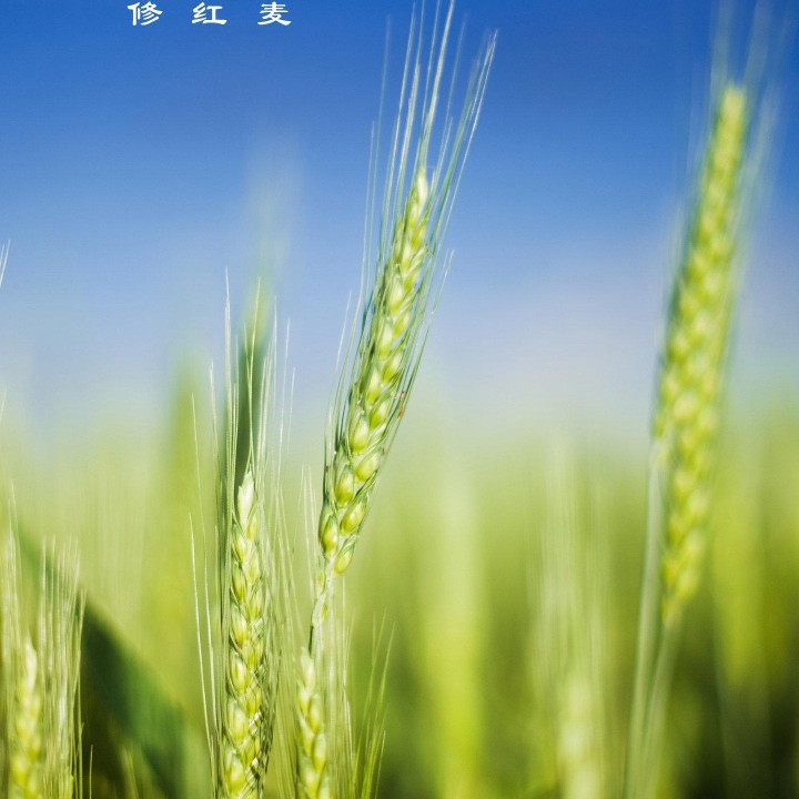 木工