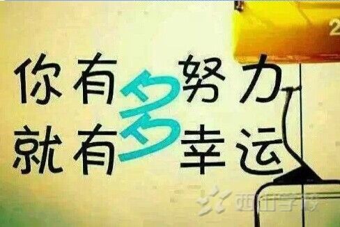 专业扇灰油漆专业扇灰油漆专业扇灰油漆专业扇灰油漆