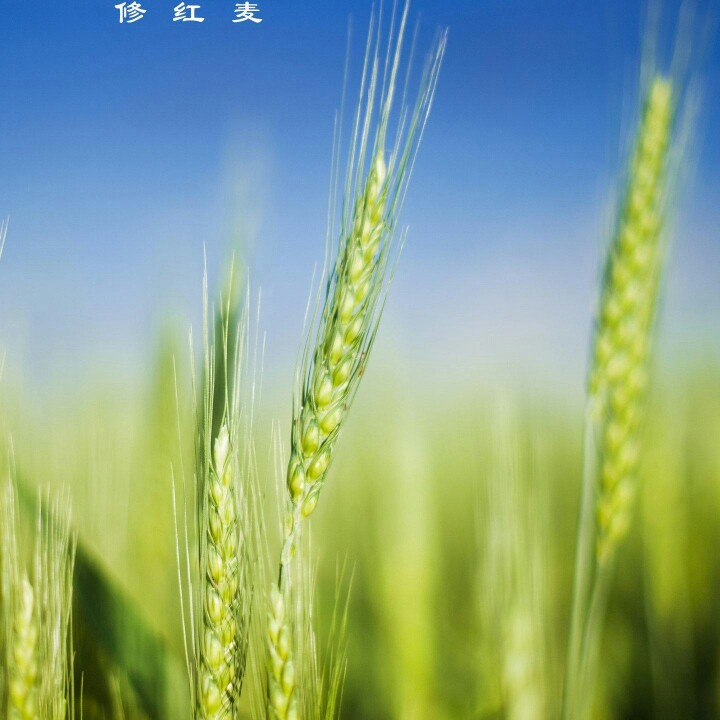 木工水电木工木工电工木工电工油工