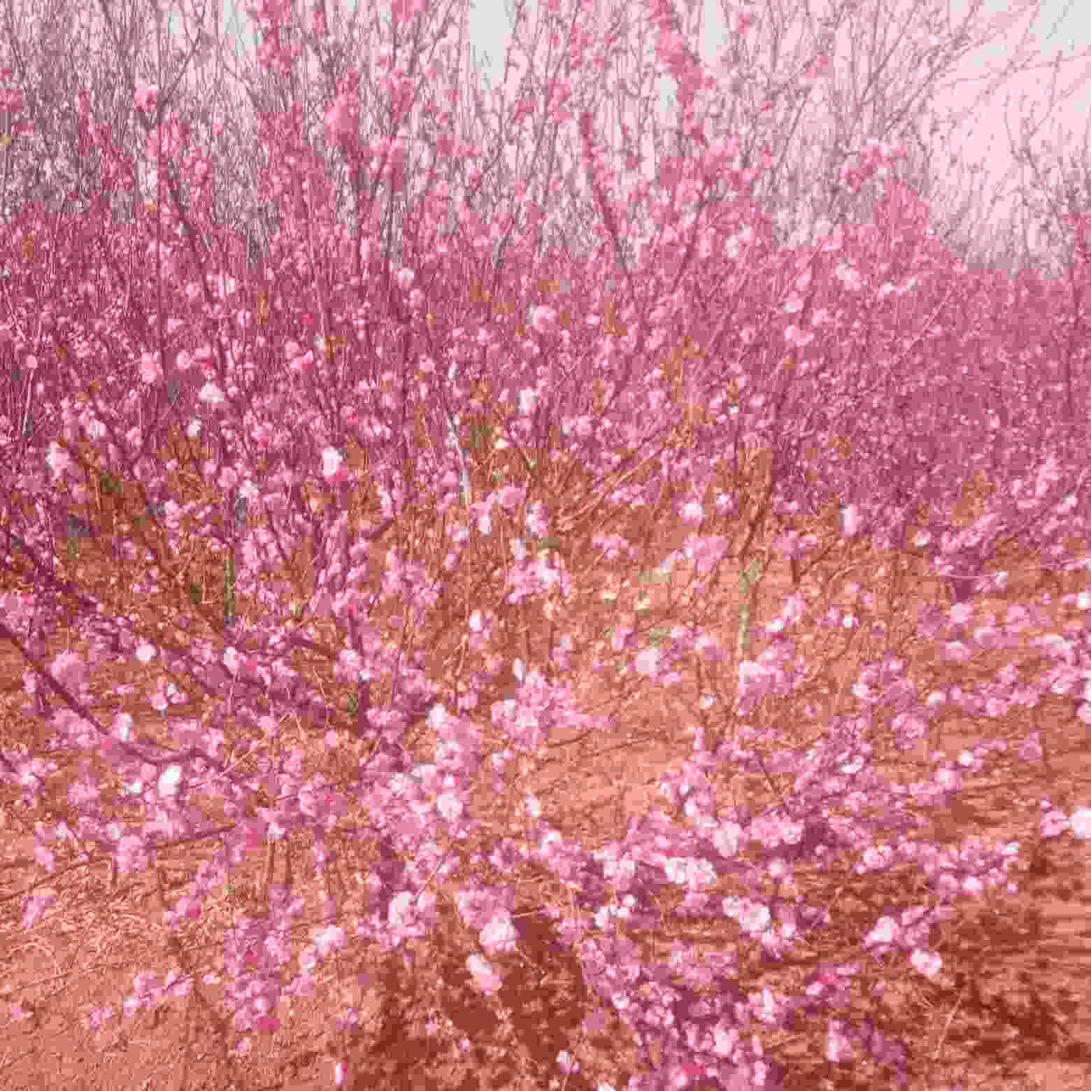 卫浴安装灯具安装太阳能安装晾衣架安装