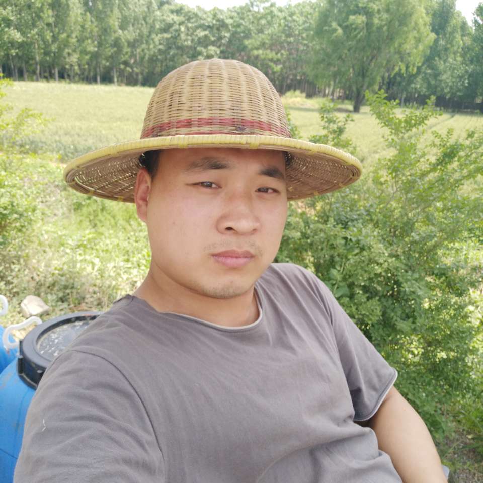 什么都会点