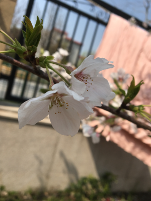 木工