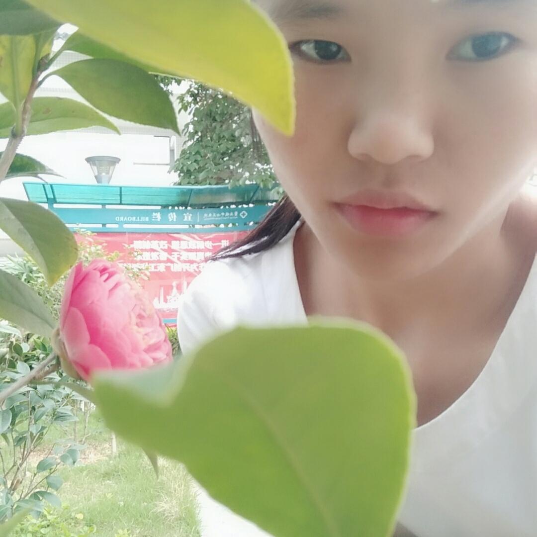 发派派单