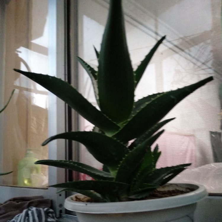 厨卫灯具安装晾衣架安装