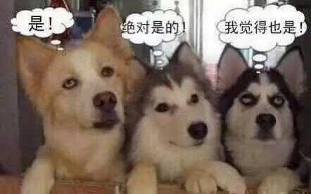 服务
