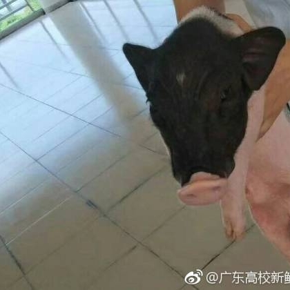 水电安装