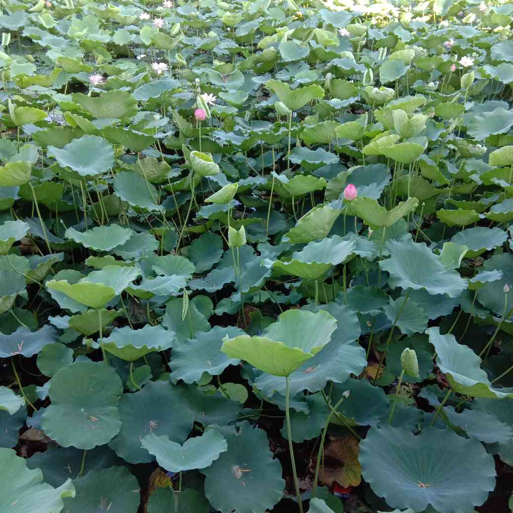 装修室内外装修