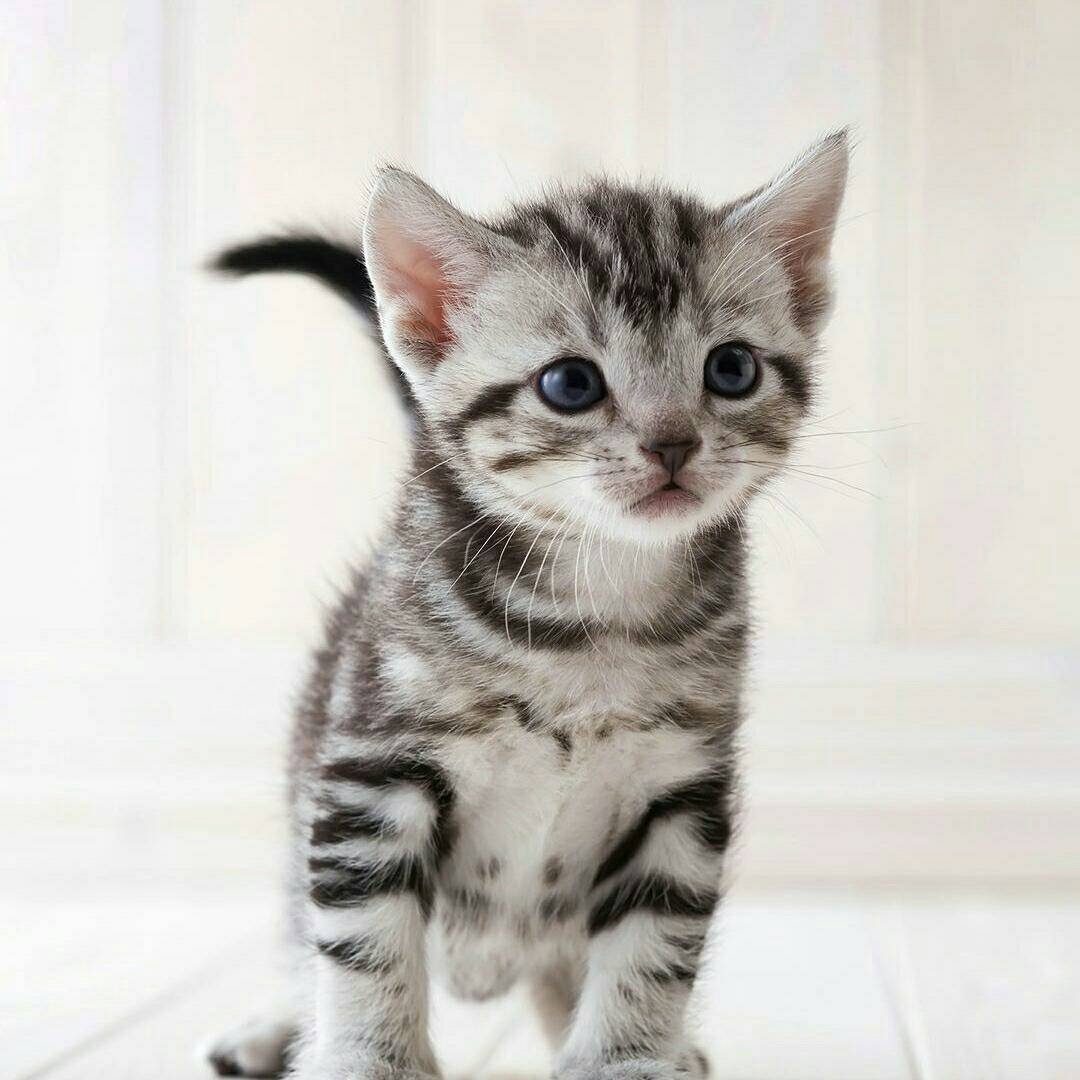 承接：道县全县及周边县城各种民用家具、办公用品、教学用品、酒柜、吧台、前台、妆台、电脑桌、大办台、会议台、安装、拆撤、拉货，广告安装价格合理欢迎来电小黄18825789303