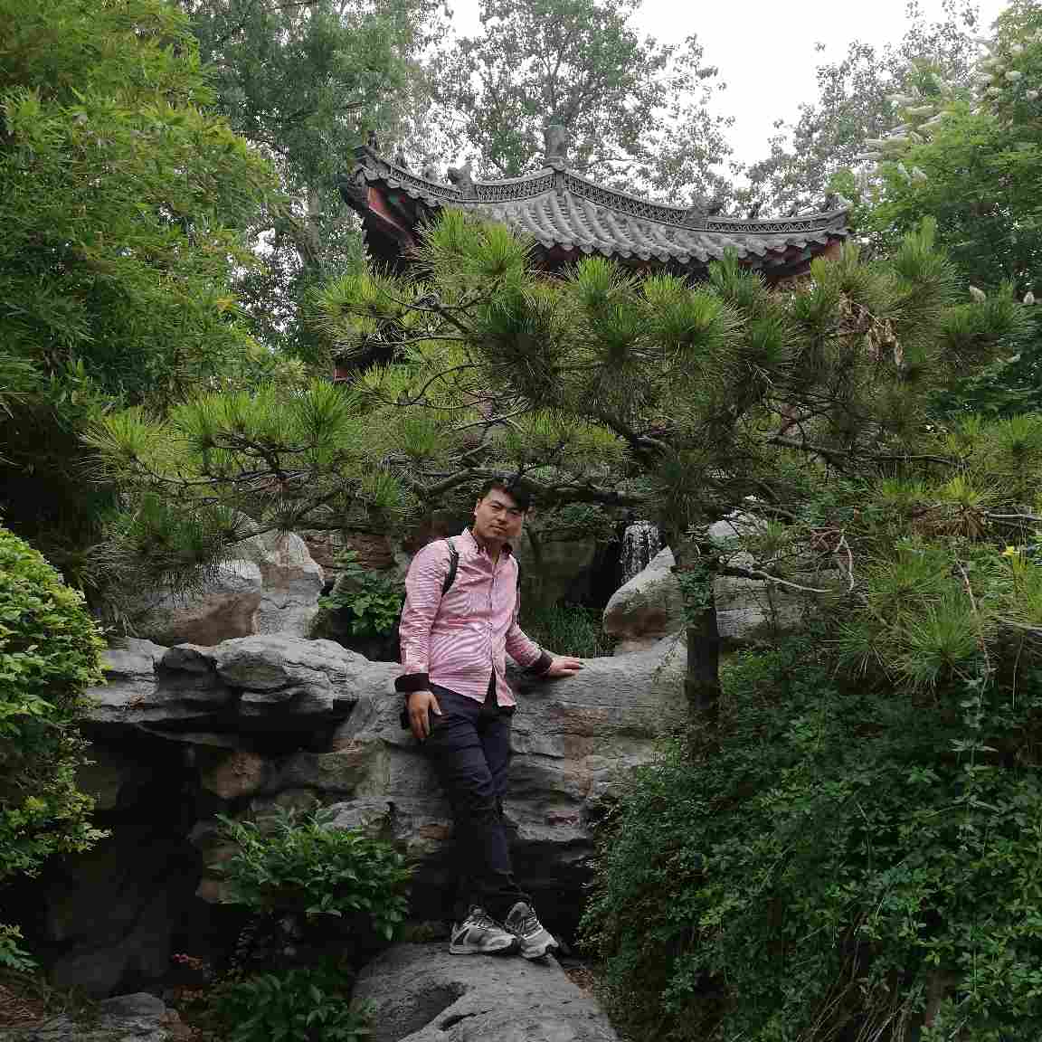 专业贴壁纸贴壁纸