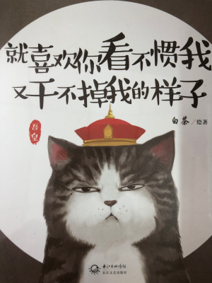 全职