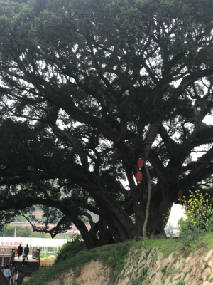 集成吊顶集成吊顶
