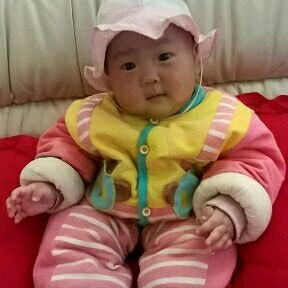 木工木工