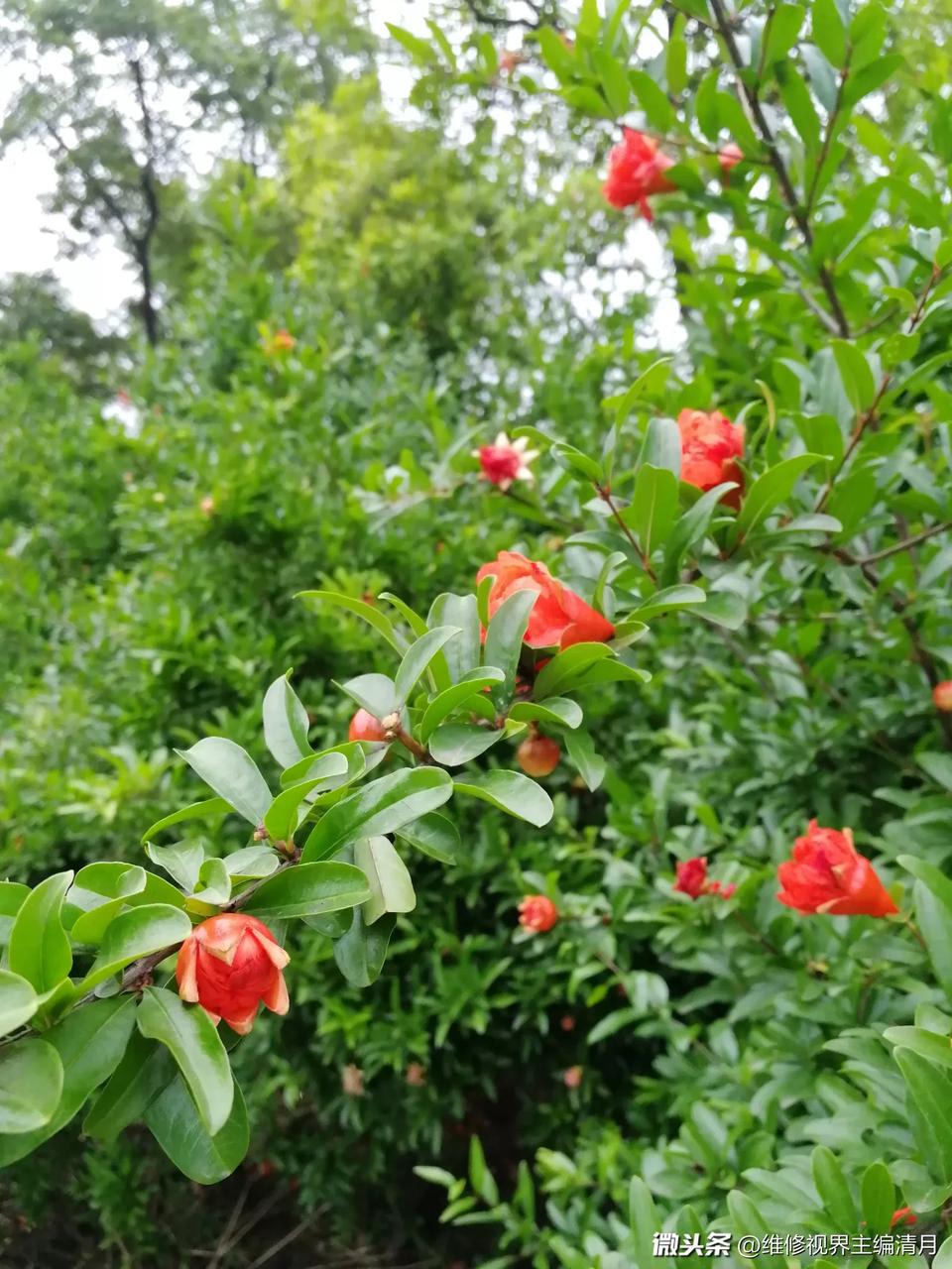 洁具安装晾衣架灯具挂件卫浴净水安装