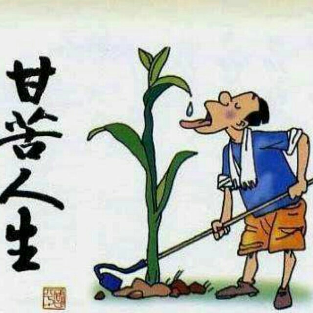 专业安装天花专业安装天花