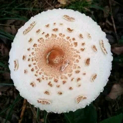 机械制造