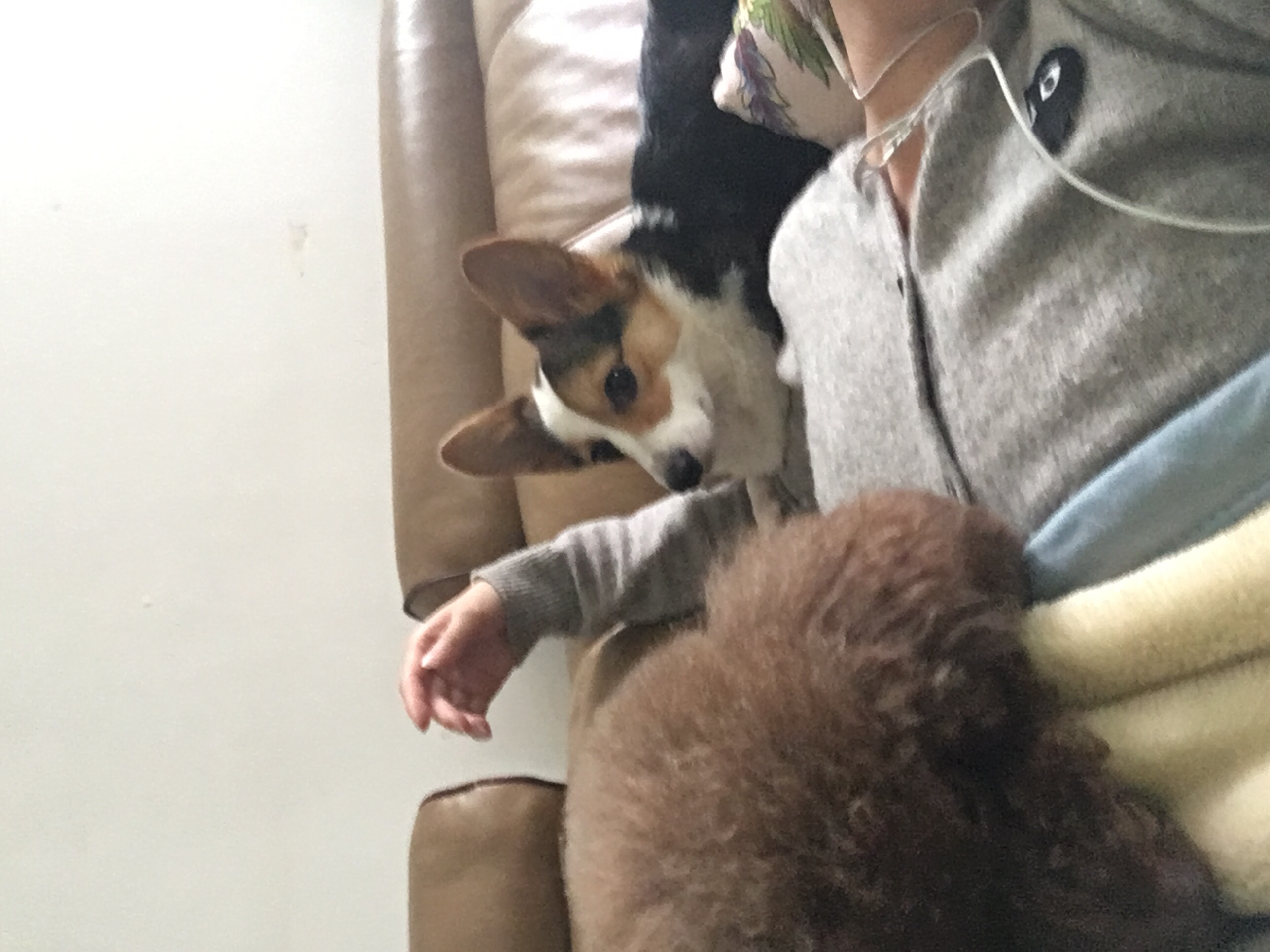安装衣柜