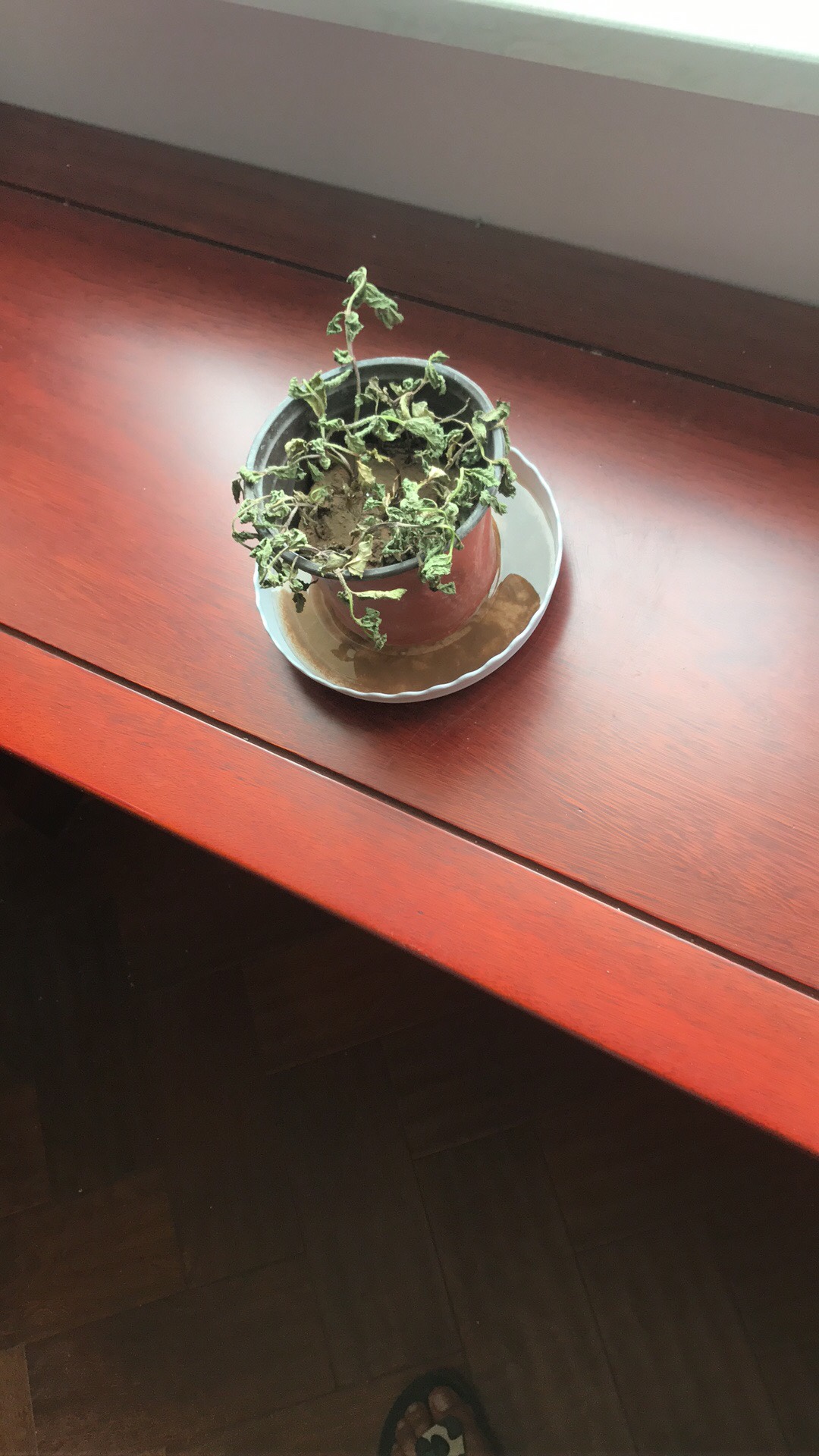 无业