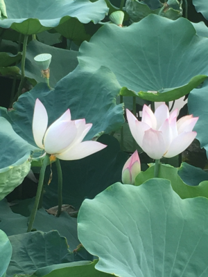 家电开荒保洁