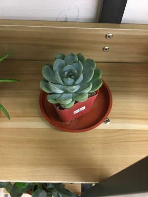 平安银行