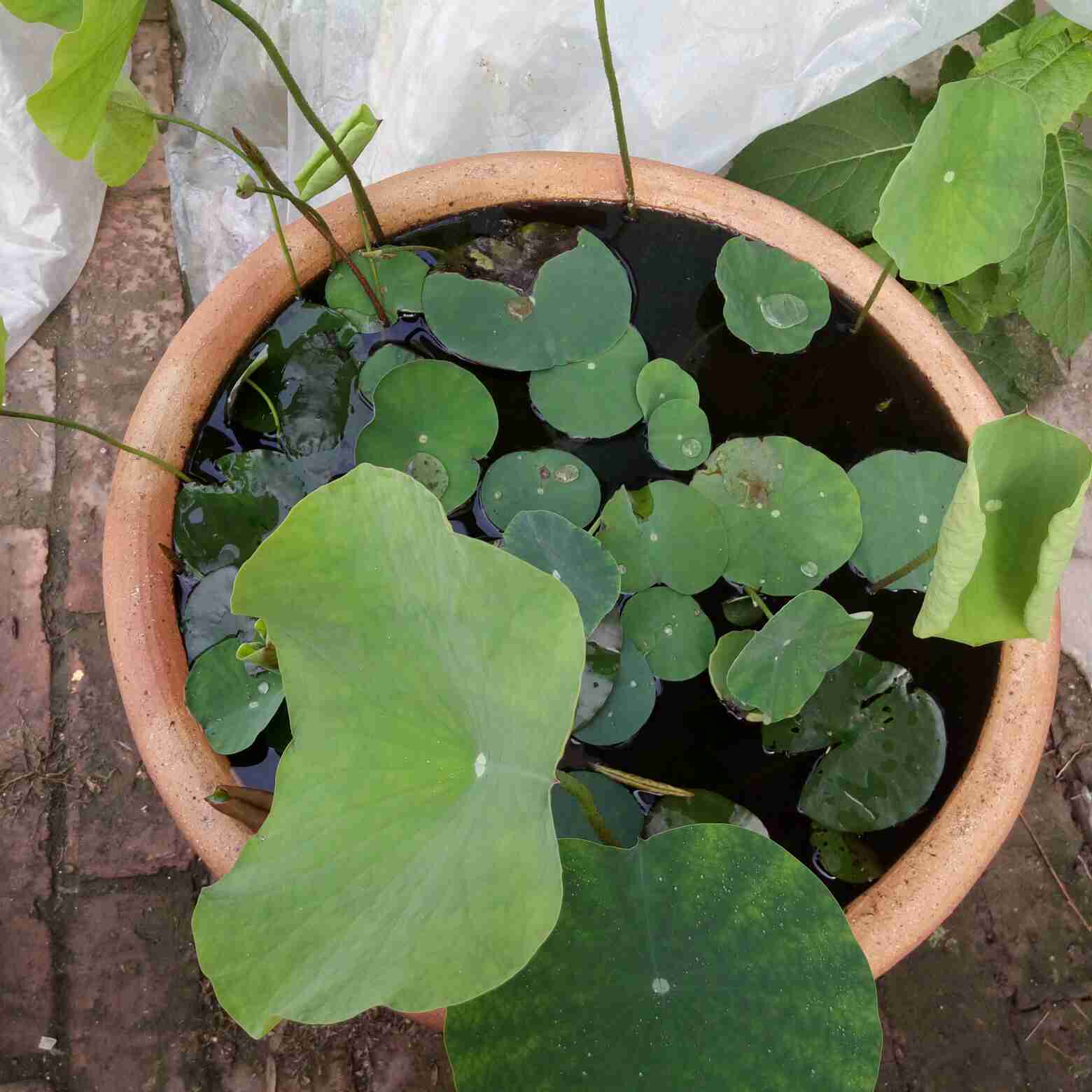 室内装修定制安装