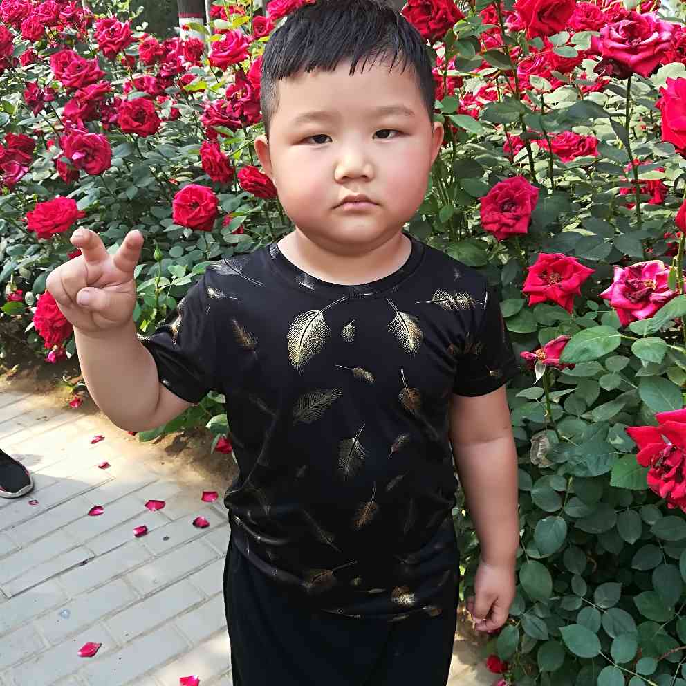 维修冰箱空调拆装小家电维修洗衣机维修