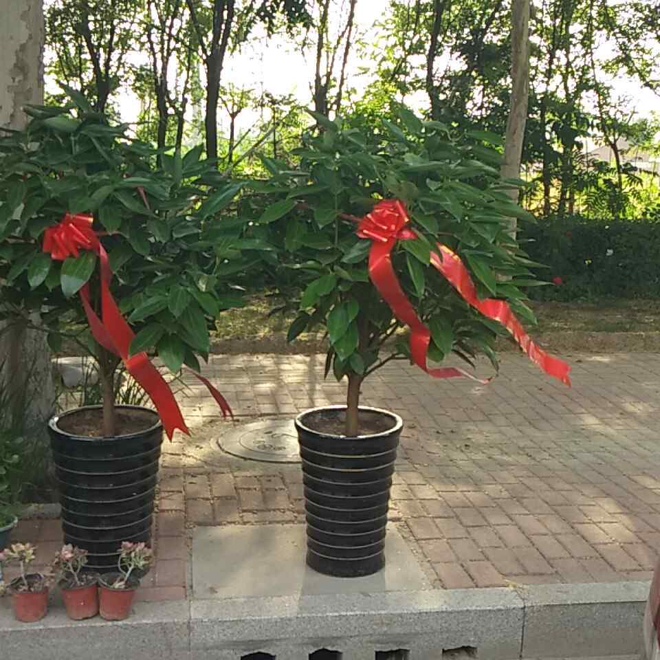 卫浴厨具等等