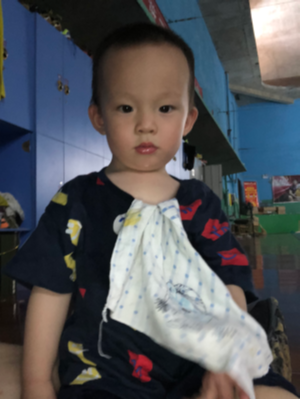 个体