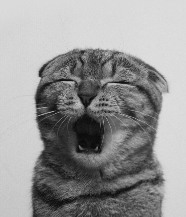 房产