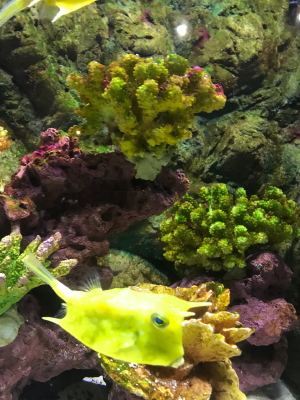 搬家家具配送家具配送安装杭州搬家公司家具安装配送