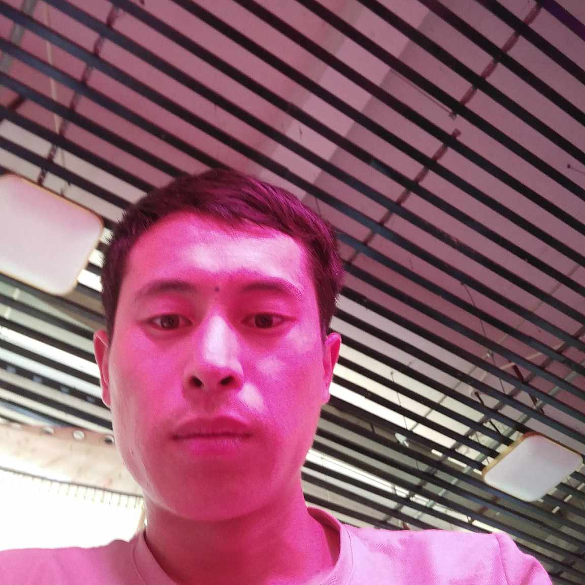 司机