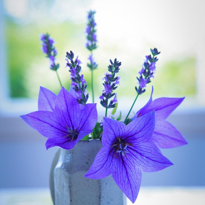 家电维修电路维修电脑维修能源储备