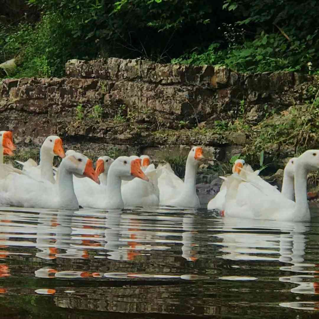 安装
