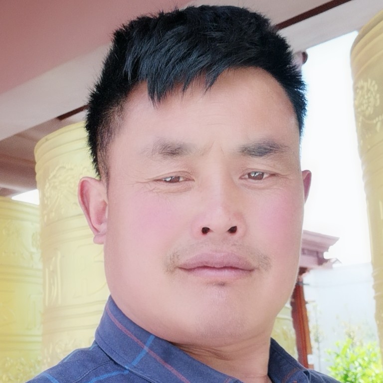 开车开车车