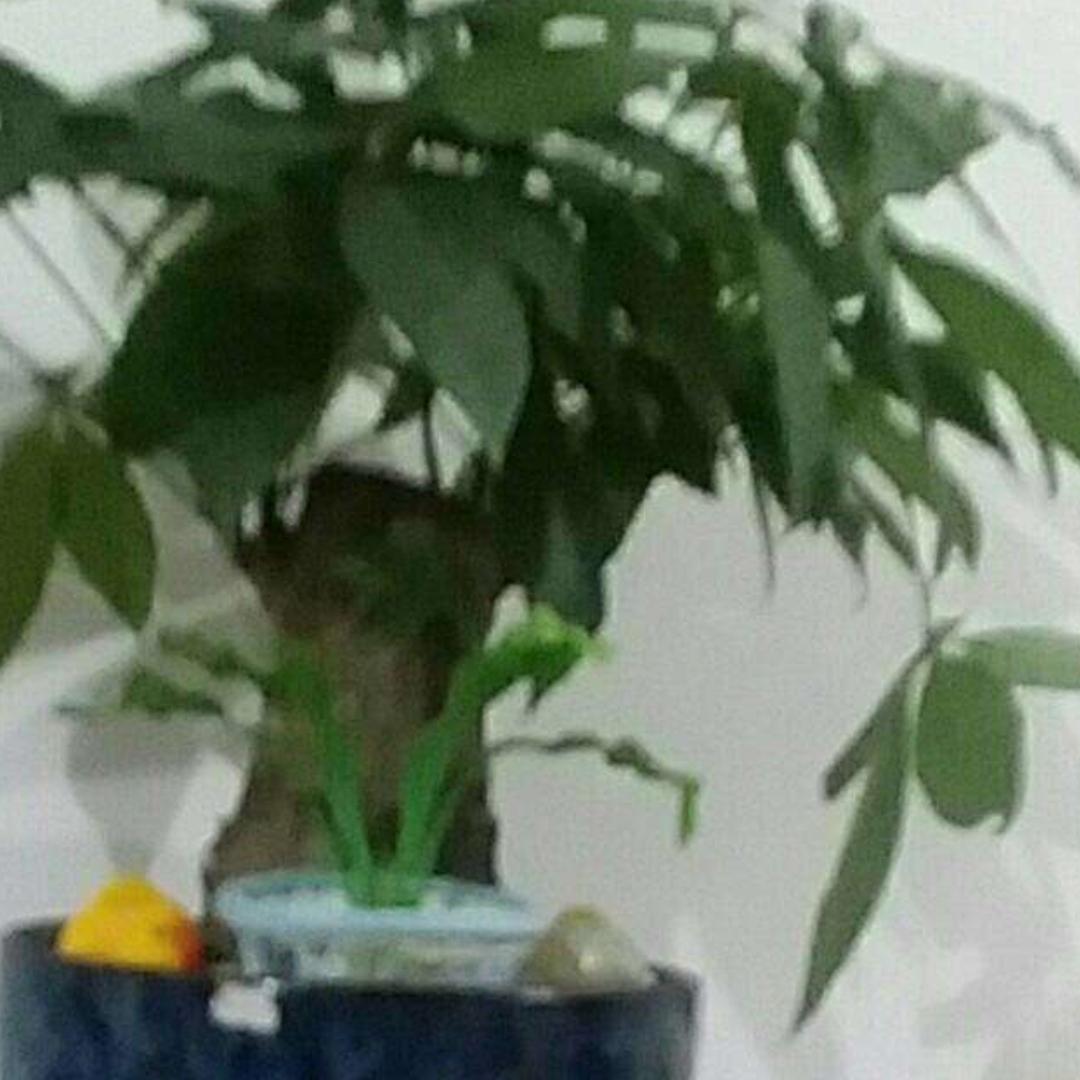 保洁家电清洗保洁丶洗家电