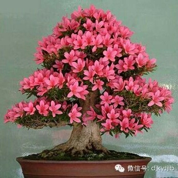 专业家具安装维修