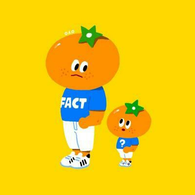 美缝施工保洁专业美缝