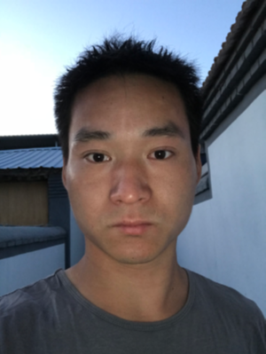 家装瓦工