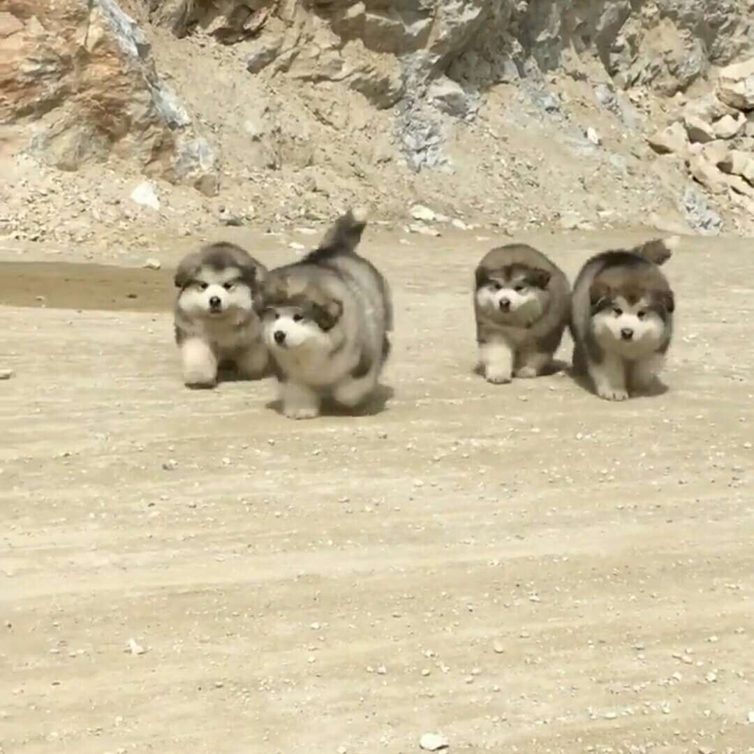 安装组装