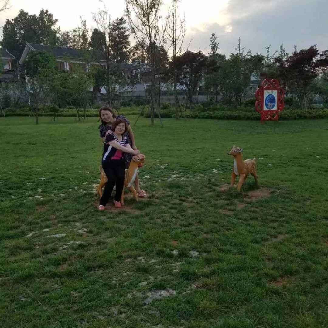 家庭主妇