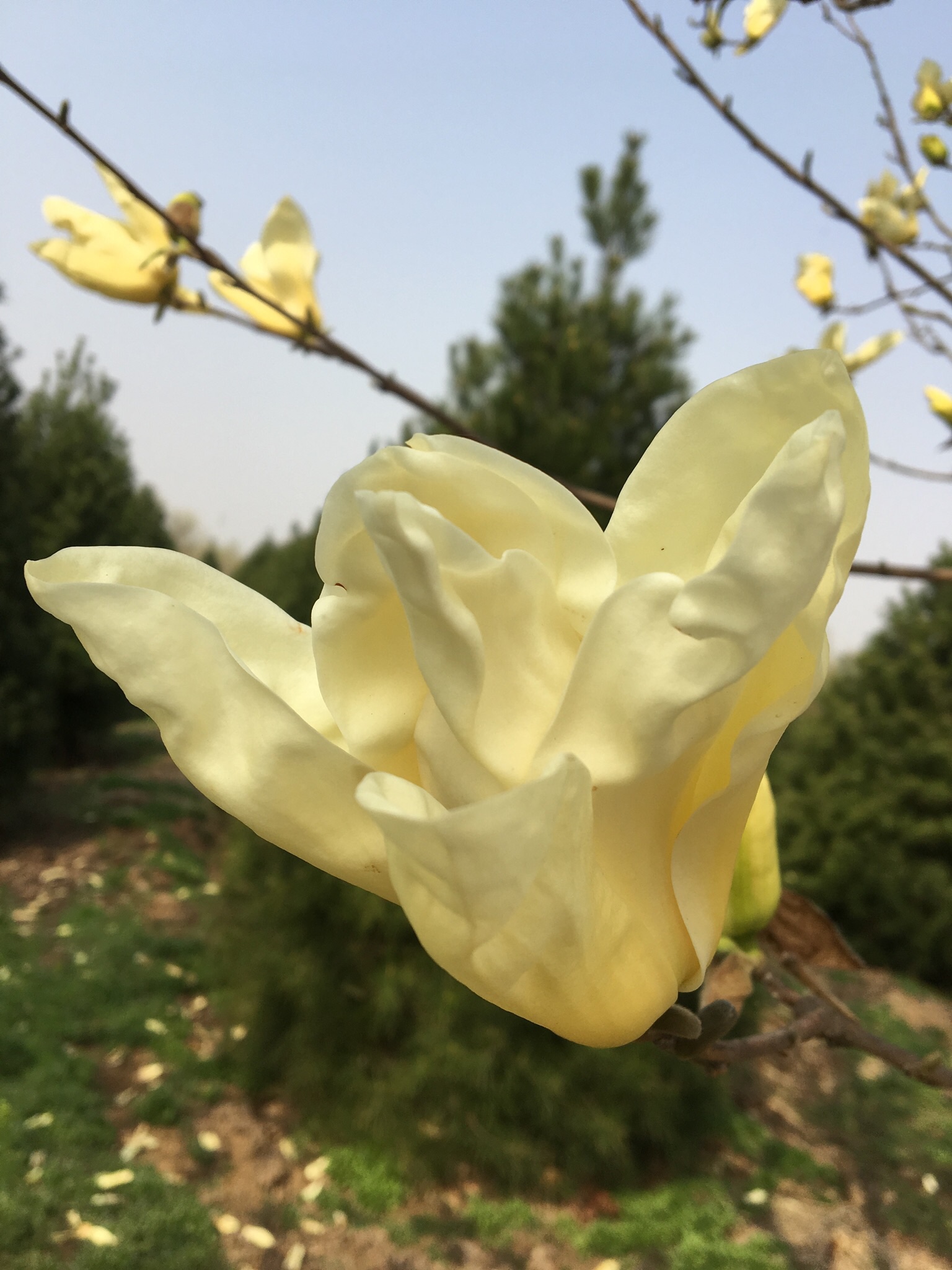 家具维修安装搬家拆装家具专业家具维修