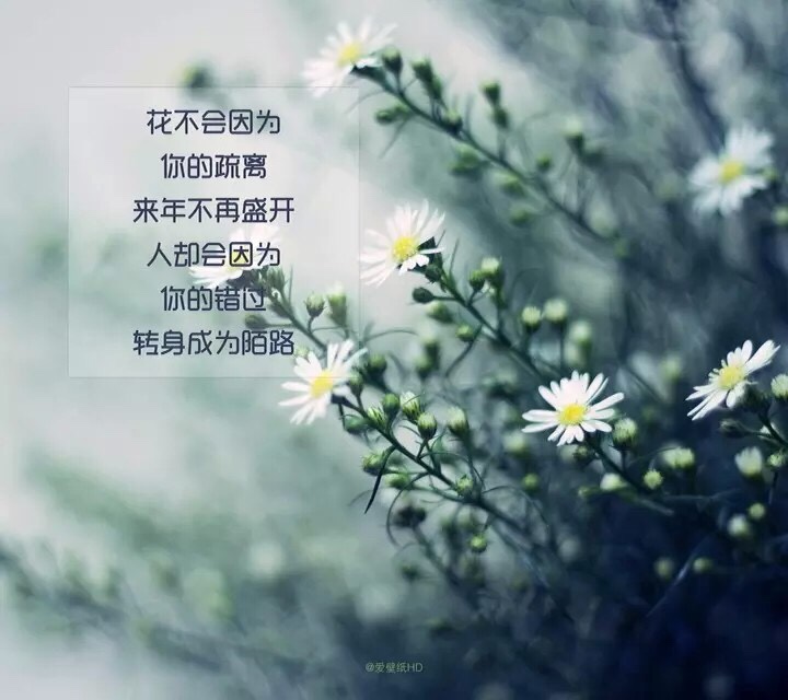 私人企业室内装饰设计