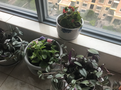 水电维修卫浴安装维修灯具安装维修光伏安装维修